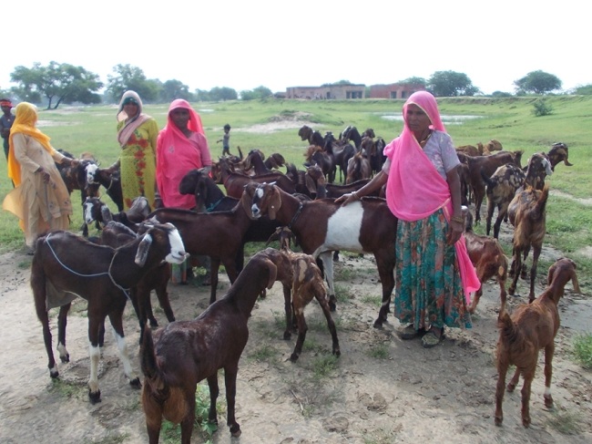 Center for Rural Prosperity and Research